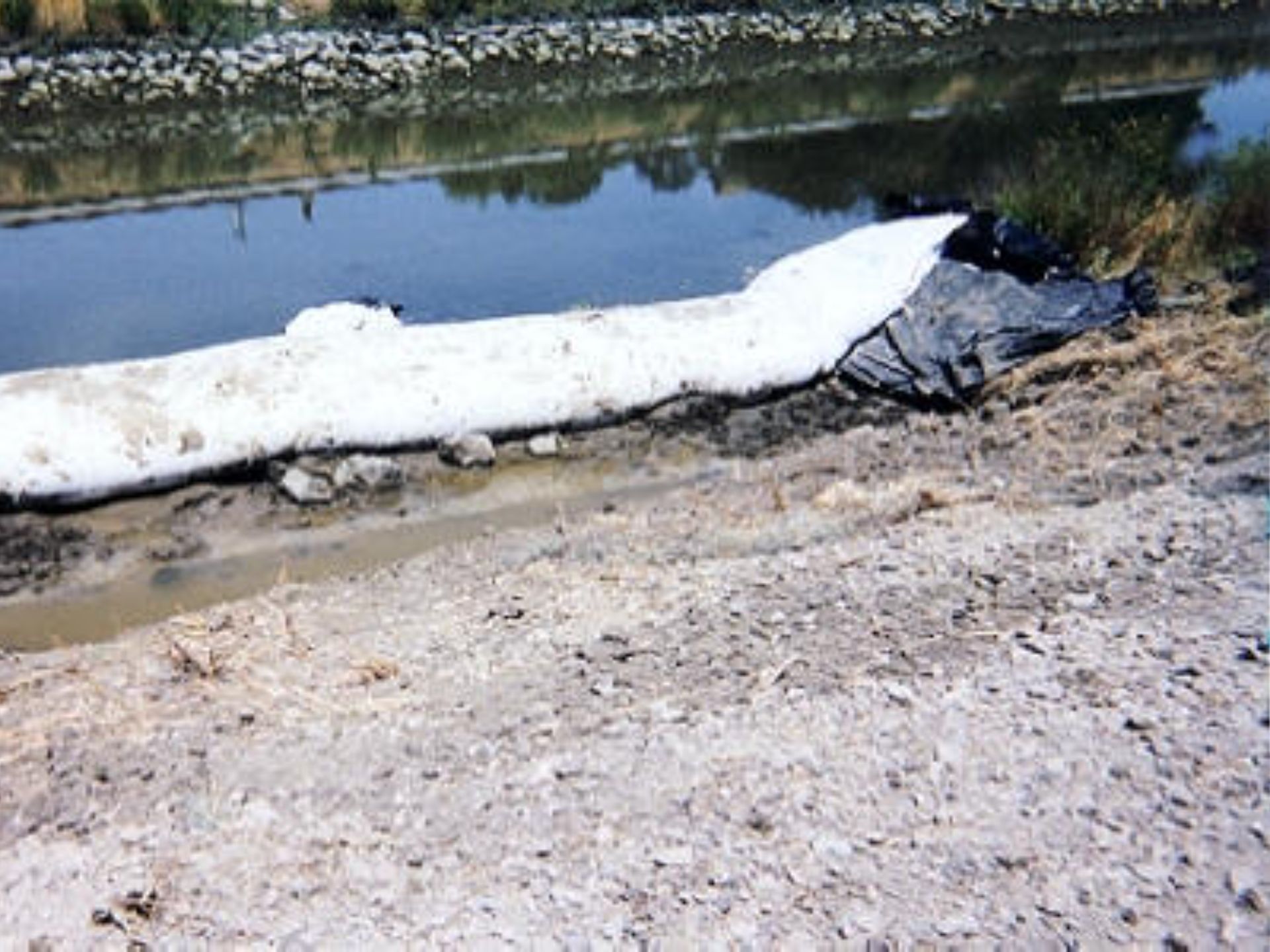 Petaluma, CA 2003