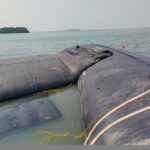 Put-In-Bay, OH 2022 Part III of III