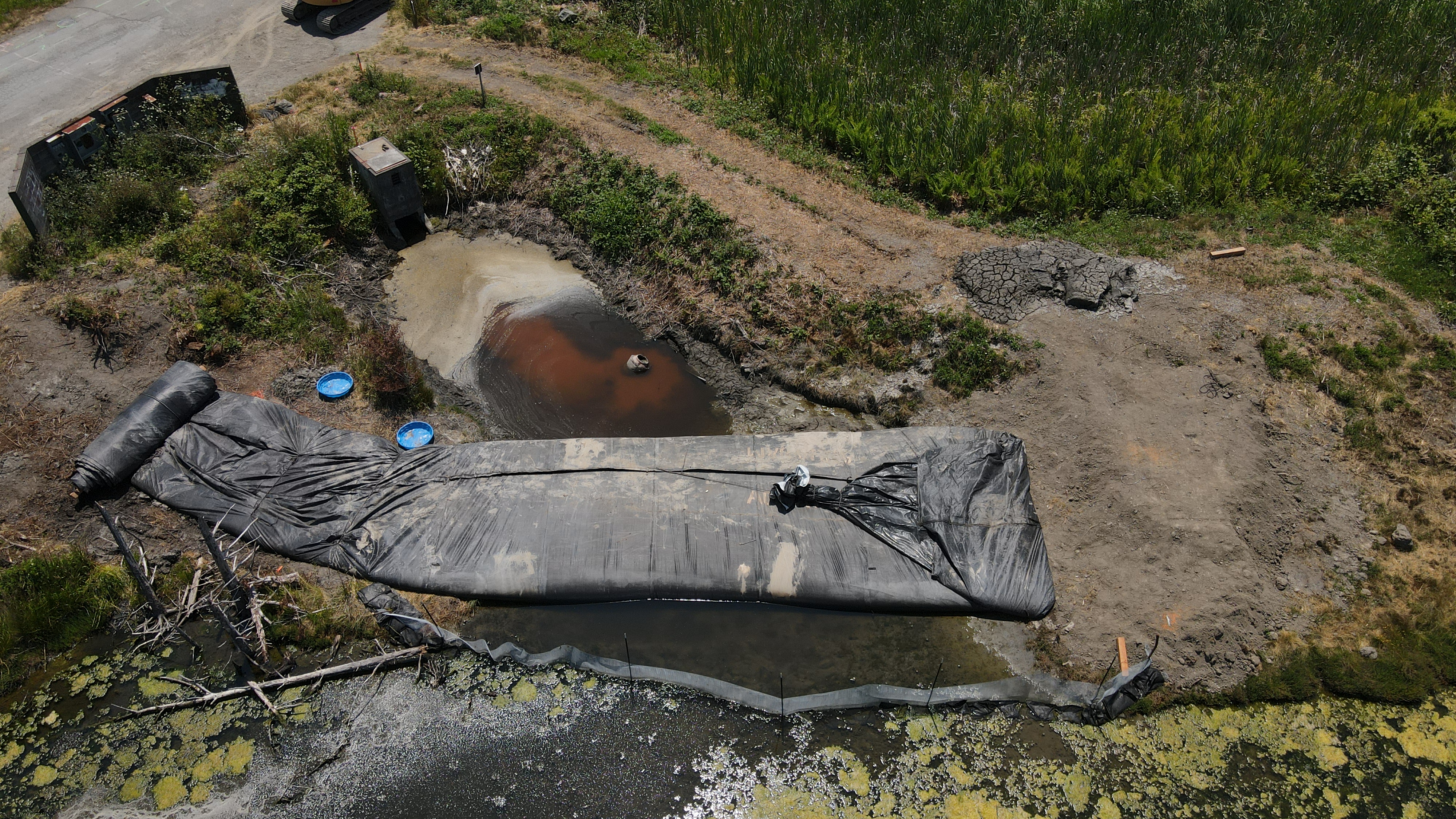 Arcata, CA 2023 – Brackish Pond