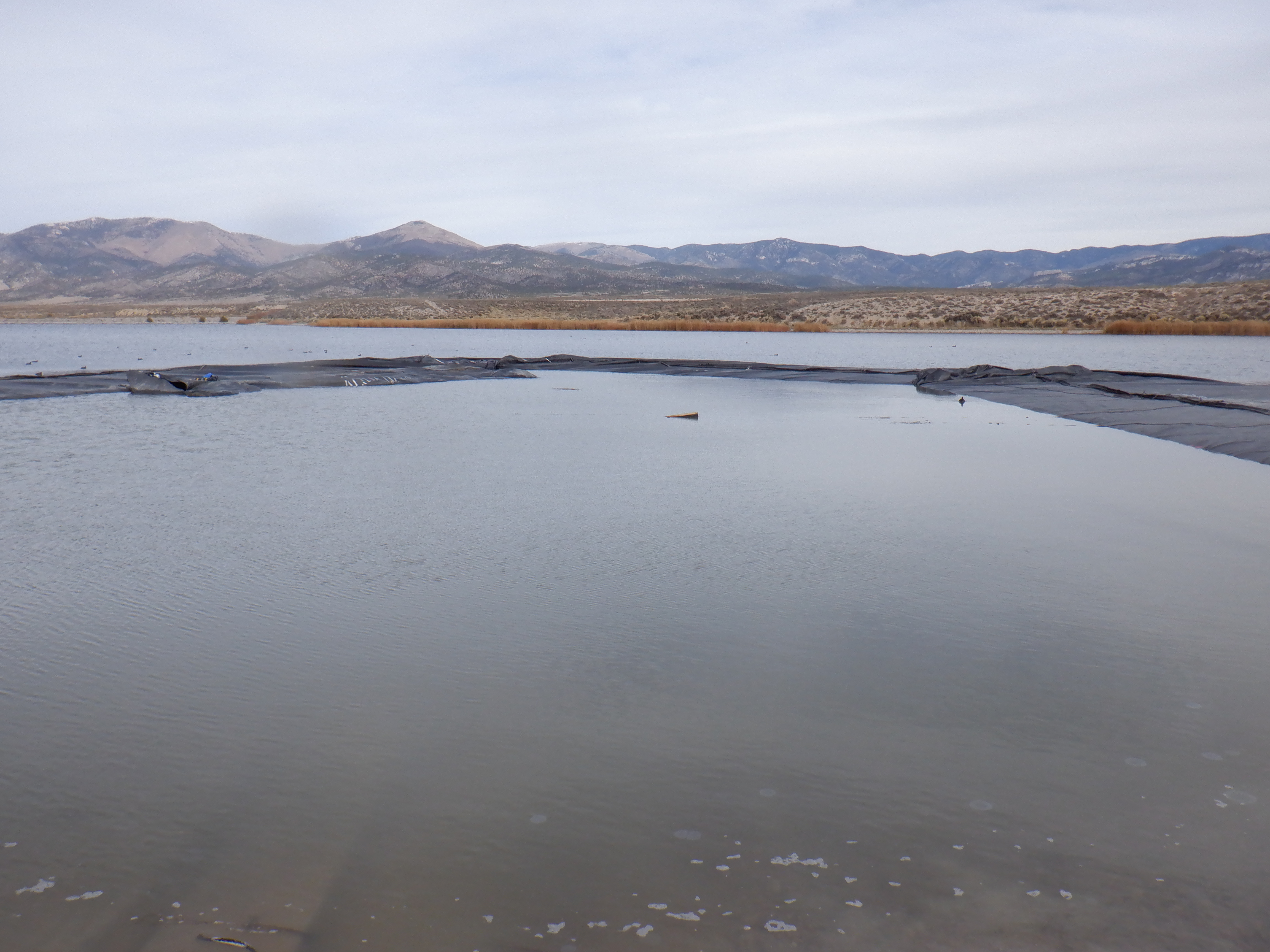 Ely, NV 2021