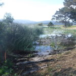 Arcata, CA 2023 Part I of III