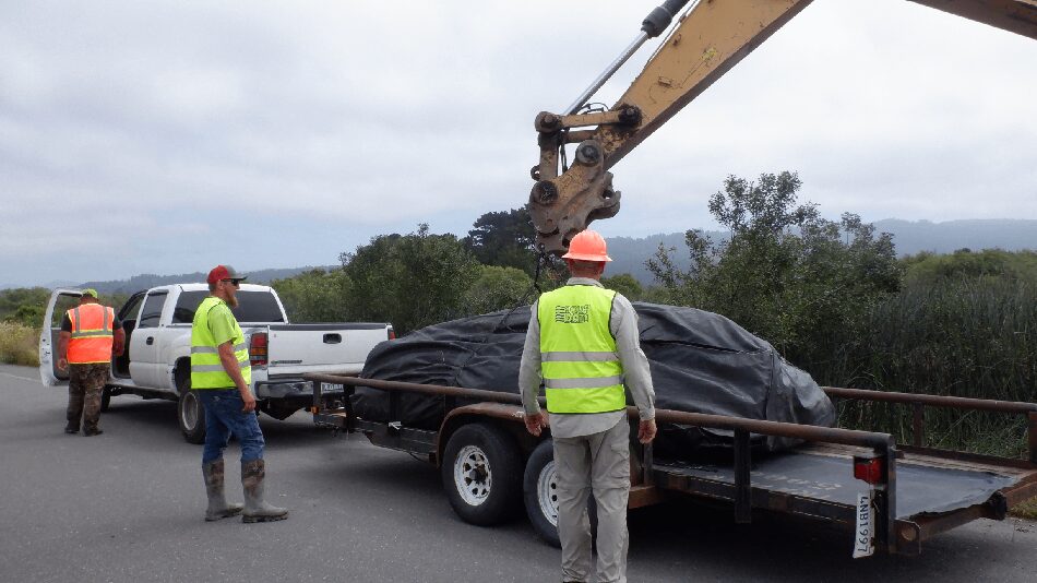 Arcata, CA 2023 Part II of III