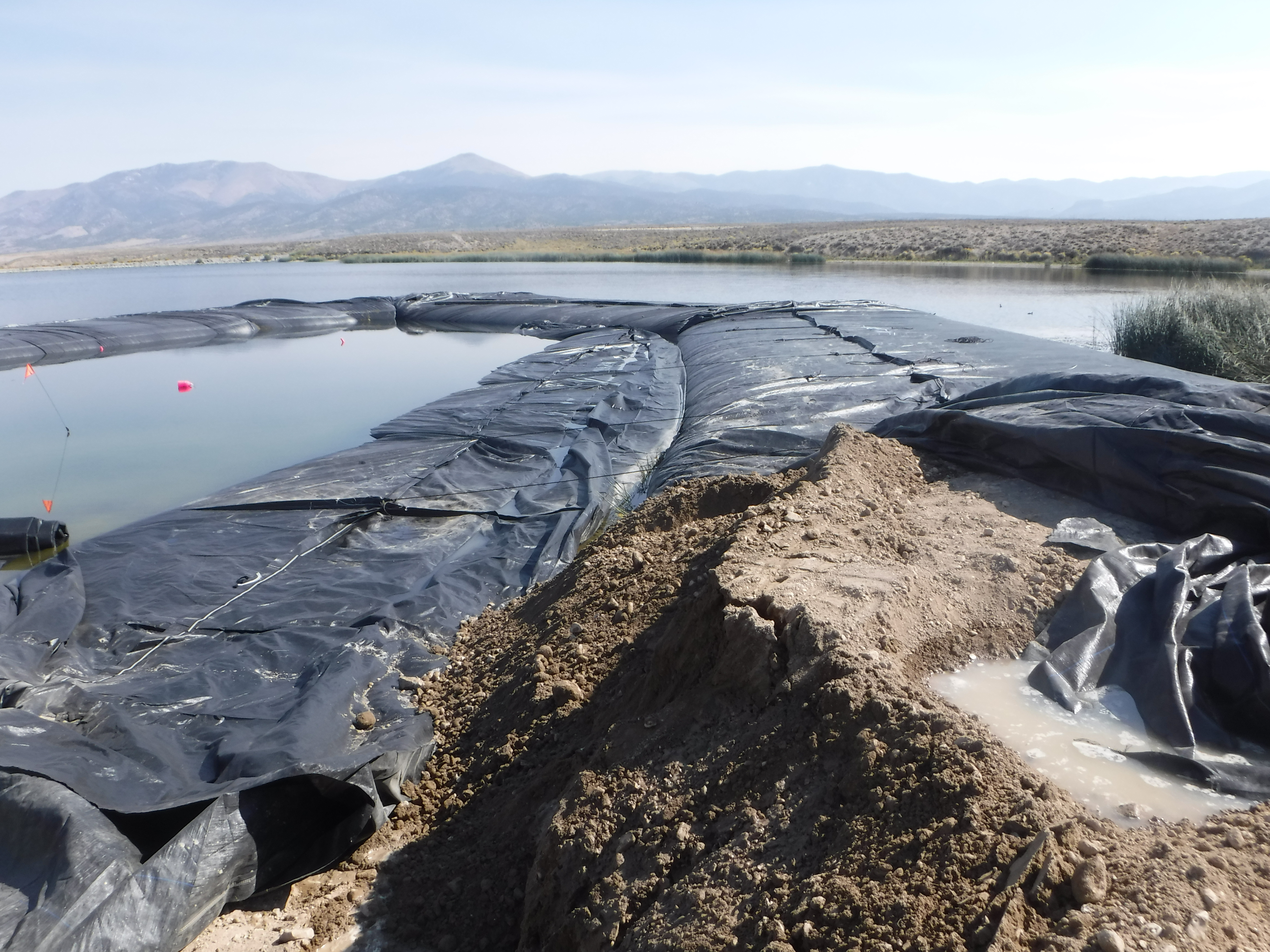 Ely, NV 2021