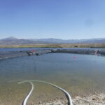 Ely, NV 2021