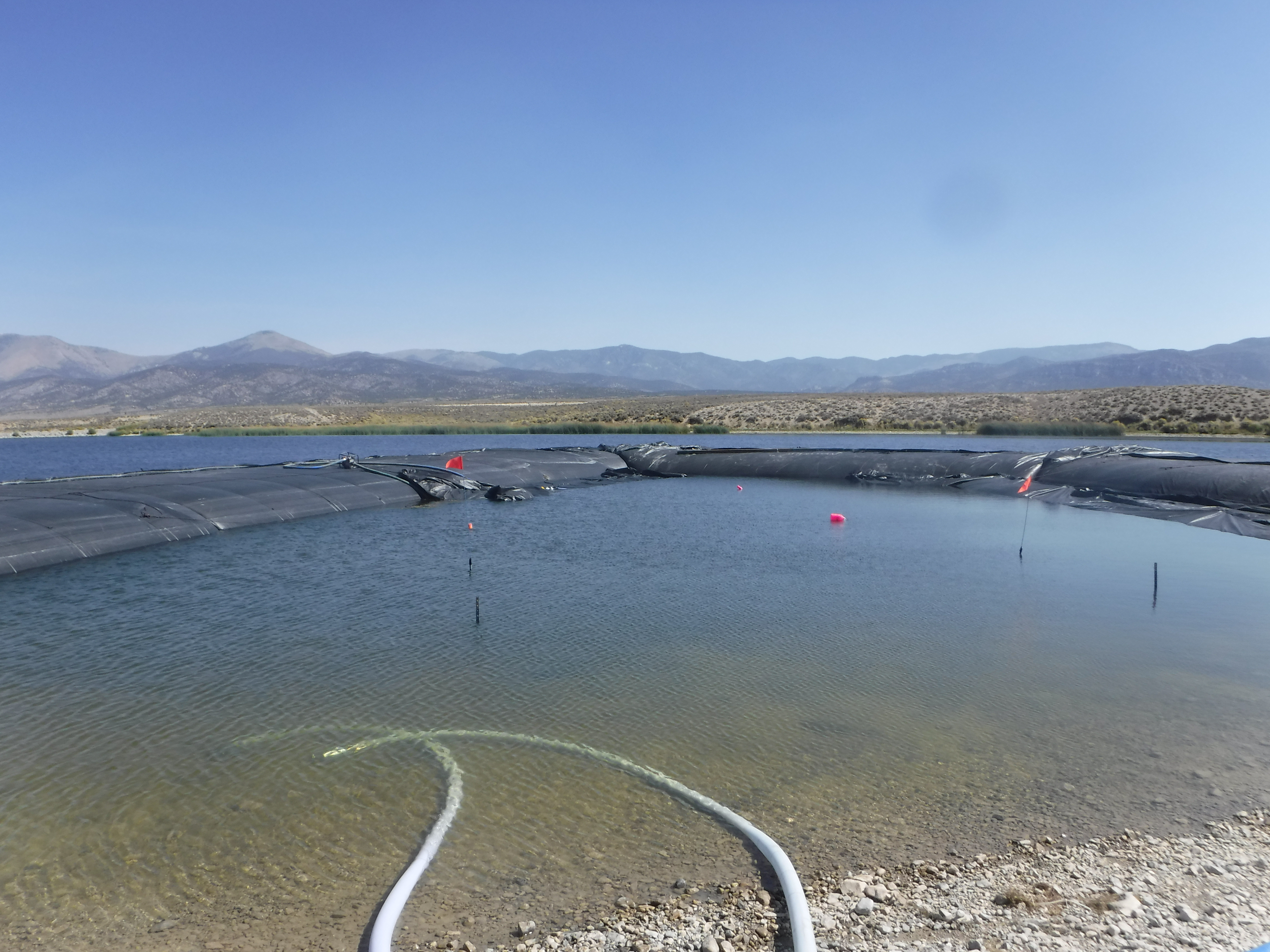 Ely, NV 2021