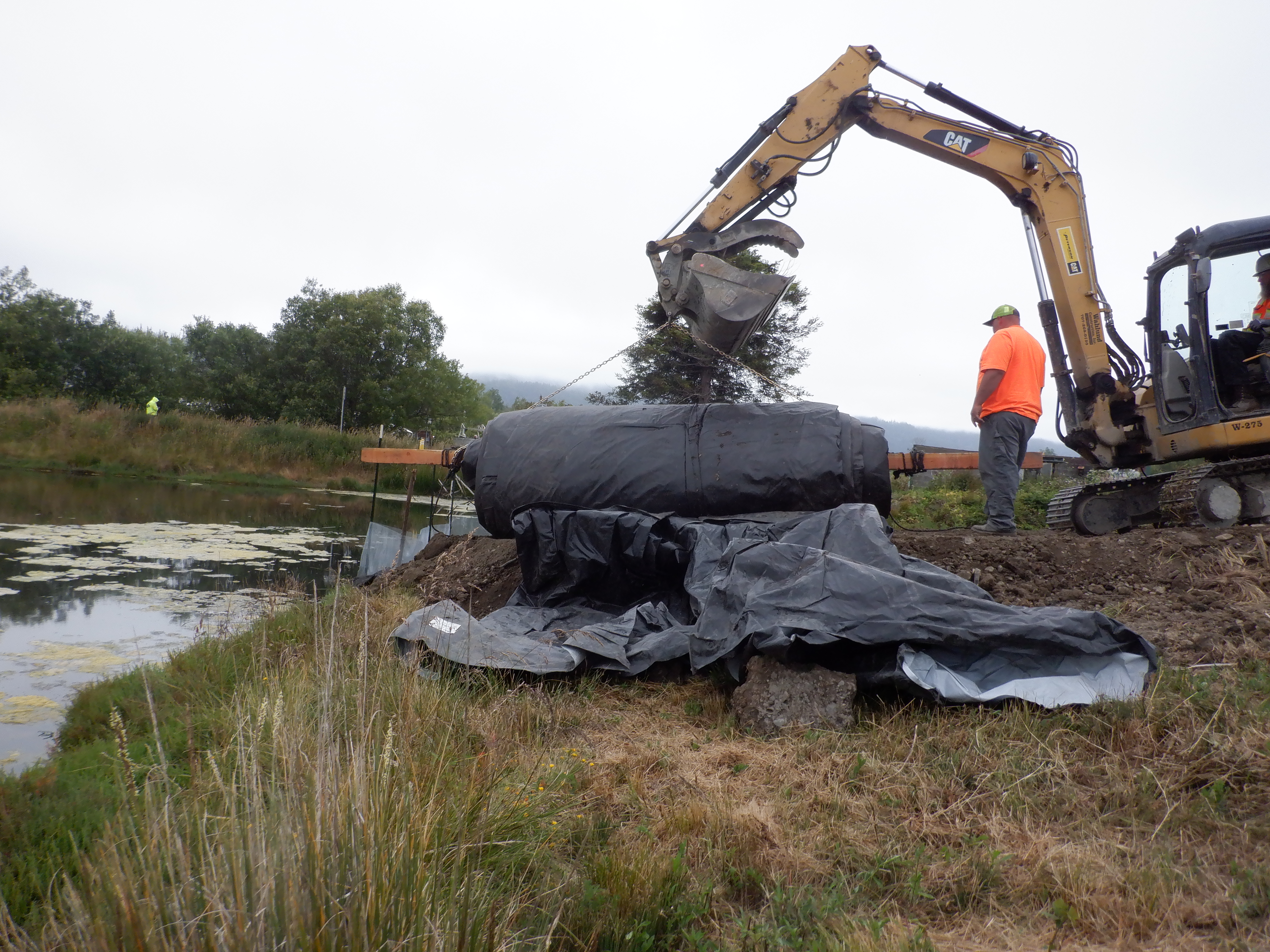 Arcata, CA 2023 – Brackish Pond