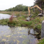 Arcata, CA 2023 – Brackish Pond
