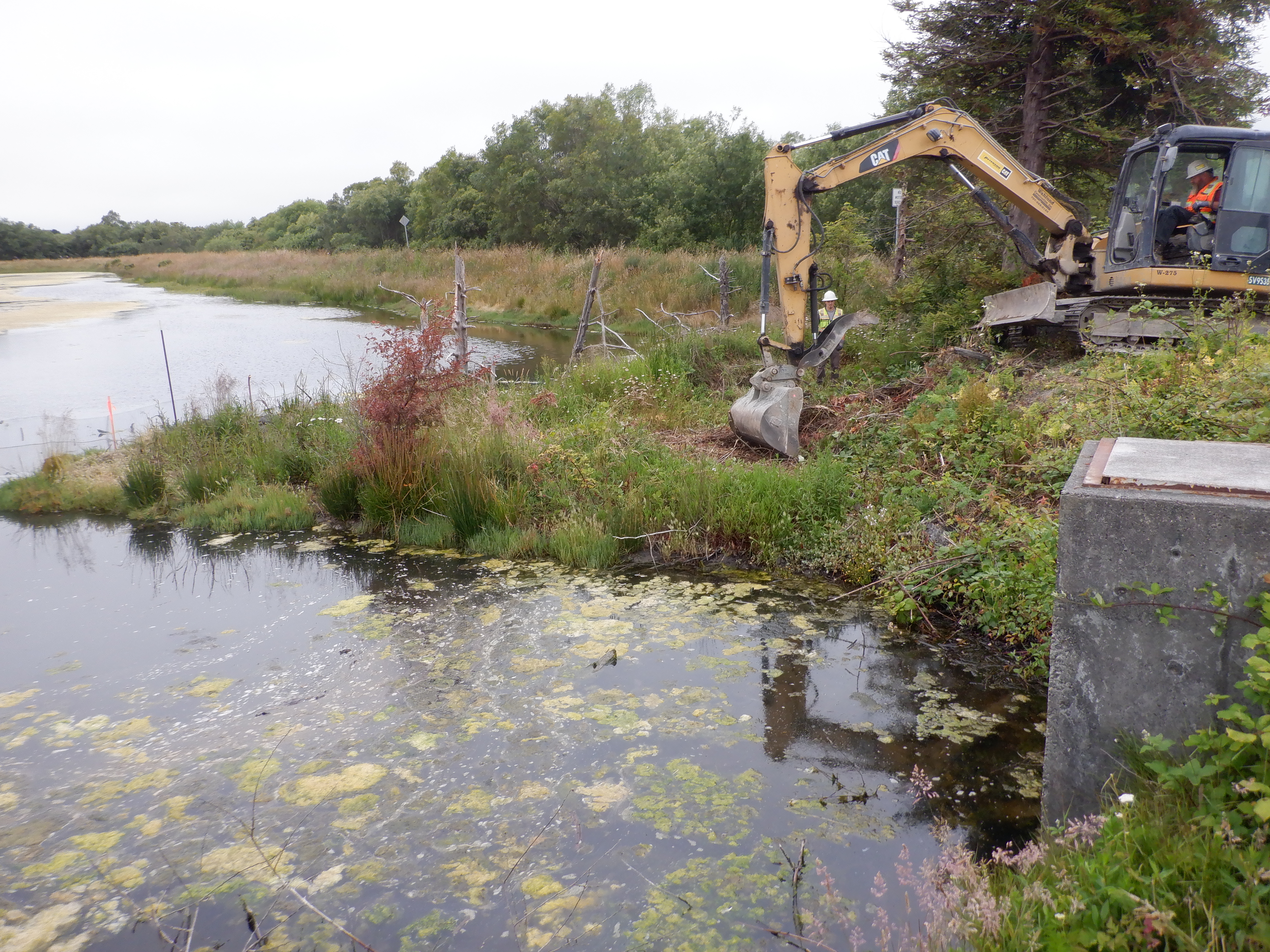 Arcata, CA 2023 – Brackish Pond