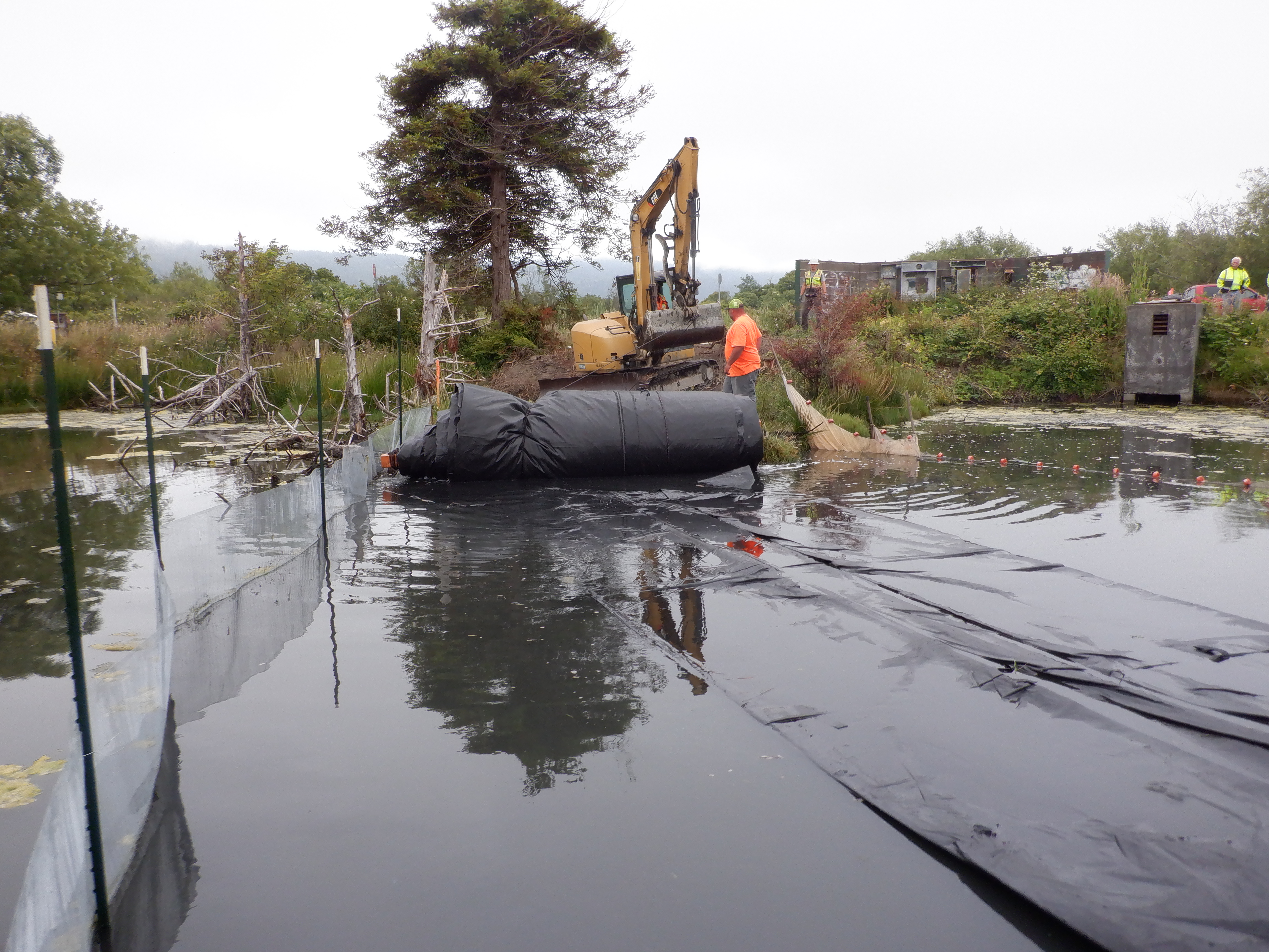 Arcata, CA 2023 – Brackish Pond