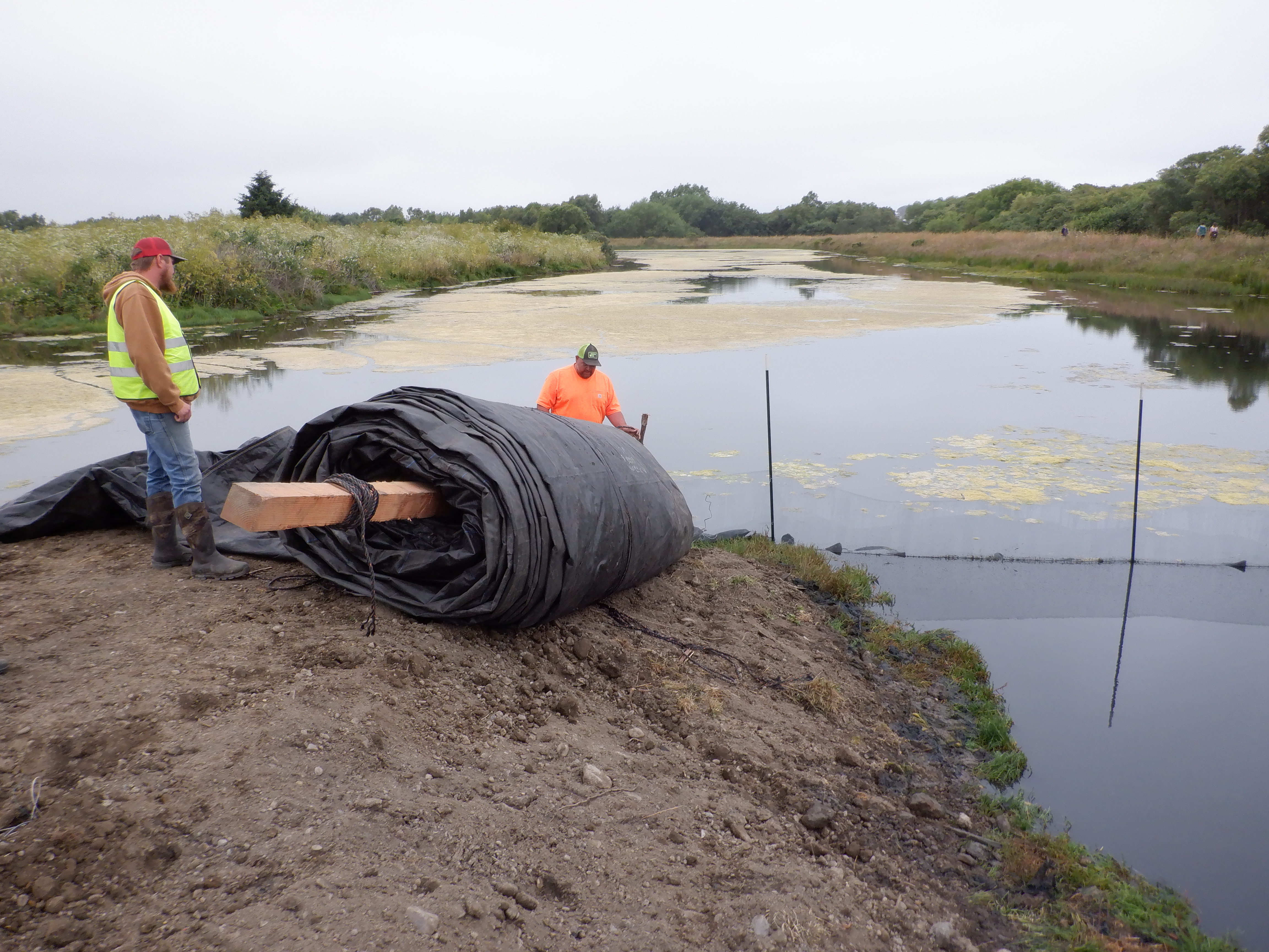 Arcata, CA 2023 – Brackish Pond