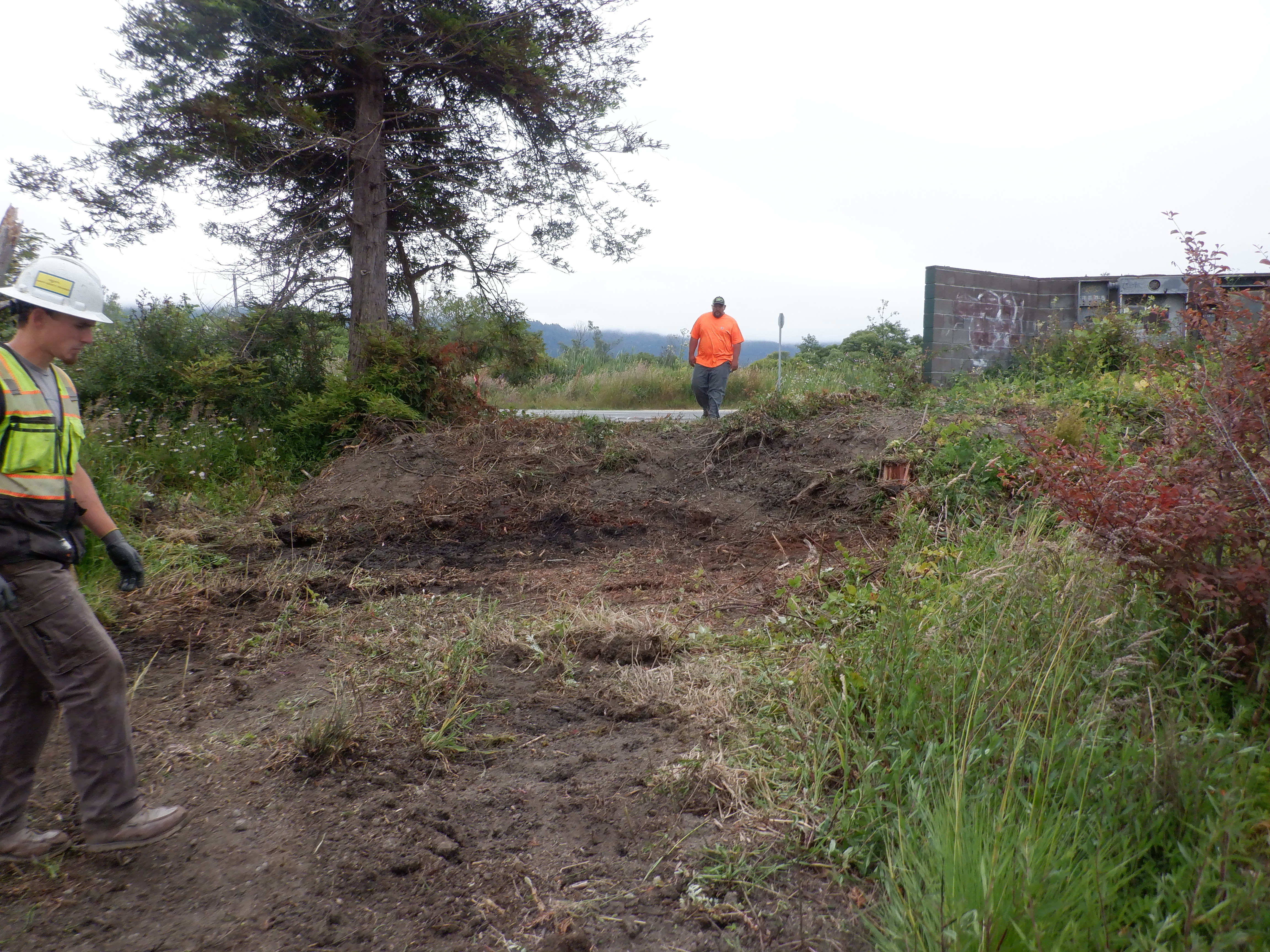 Arcata, CA 2023 – Brackish Pond