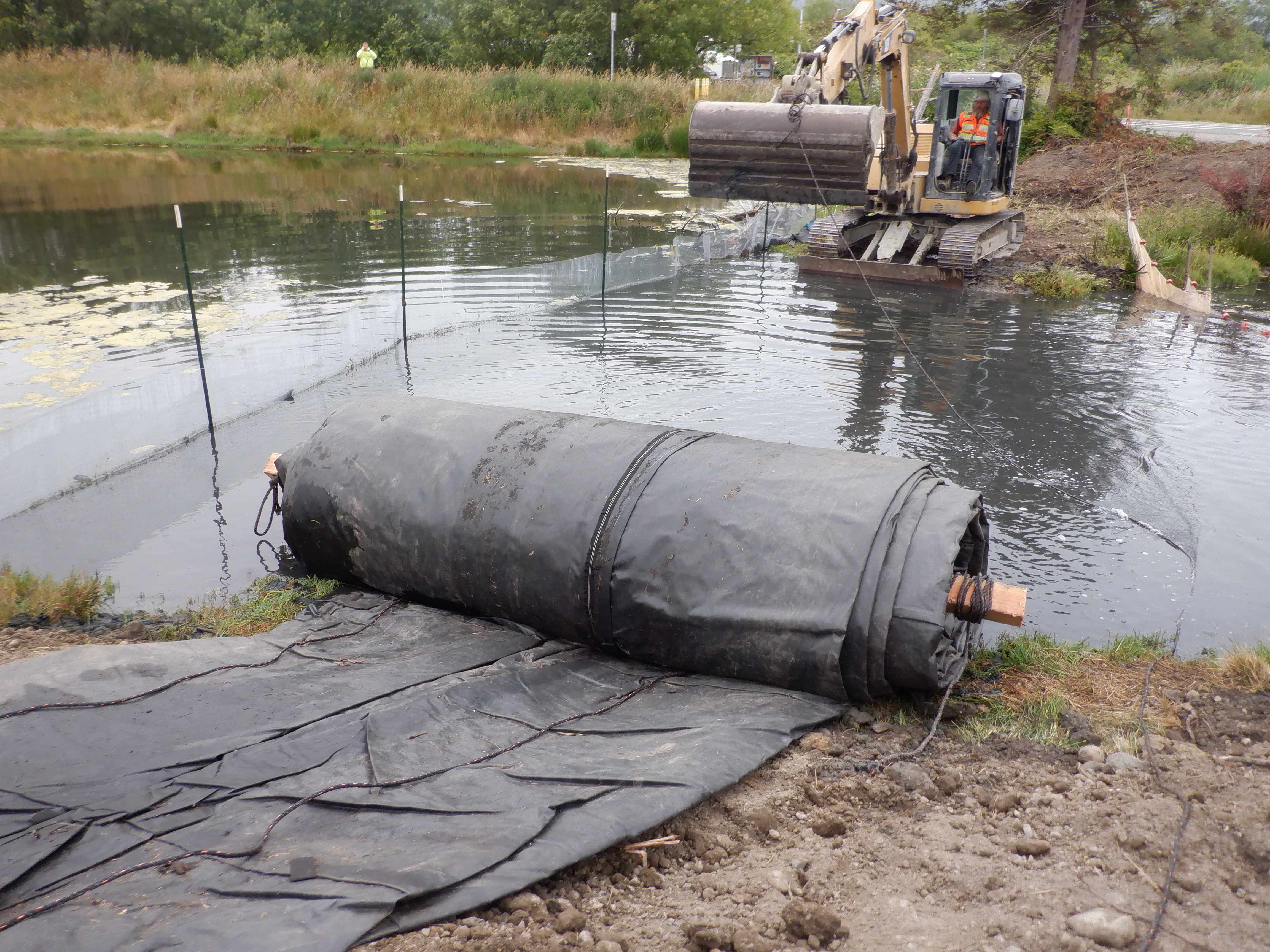Arcata, CA 2023 – Brackish Pond