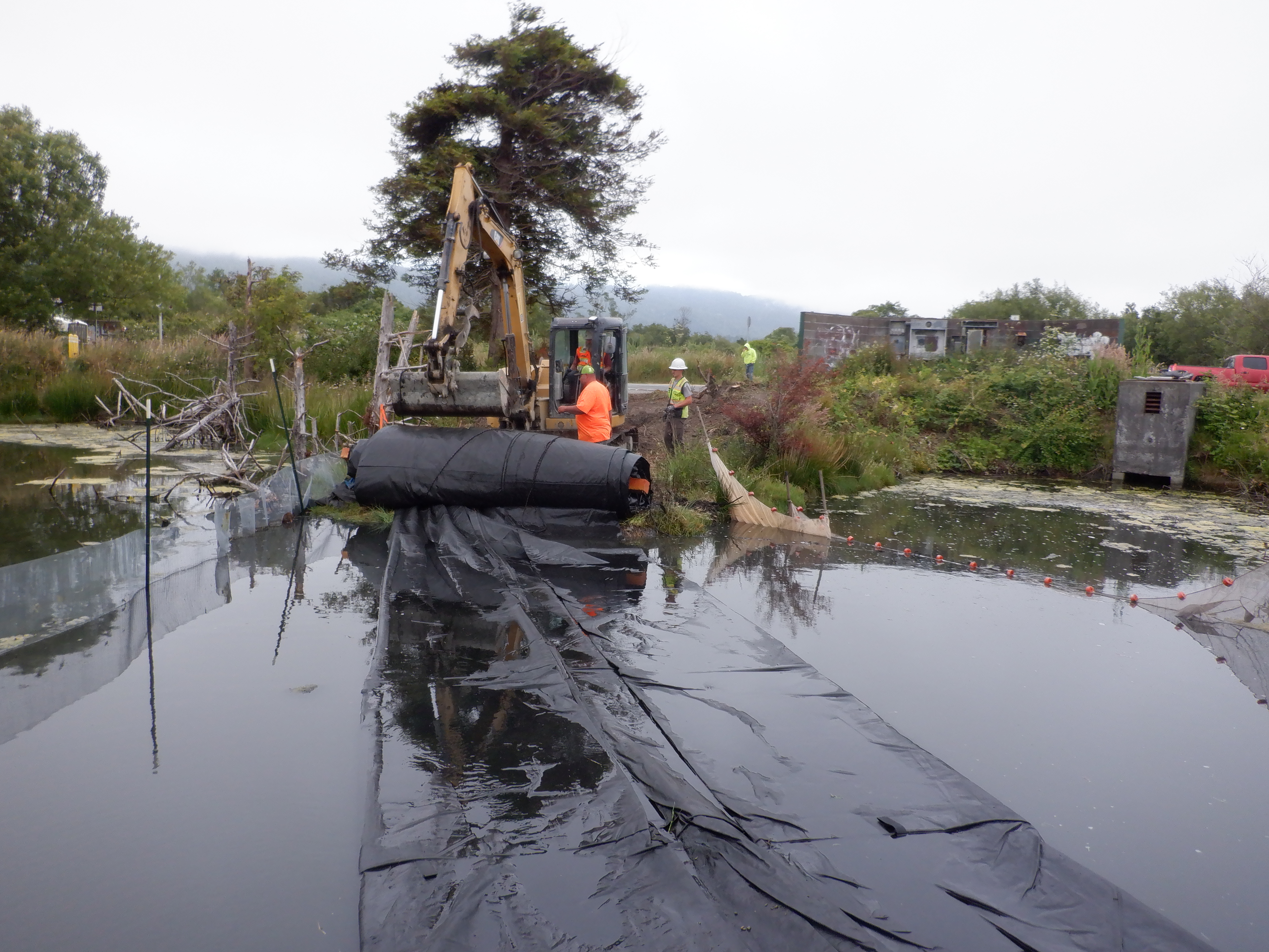 Arcata, CA 2023 – Brackish Pond