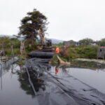 Arcata, CA 2023 – Brackish Pond