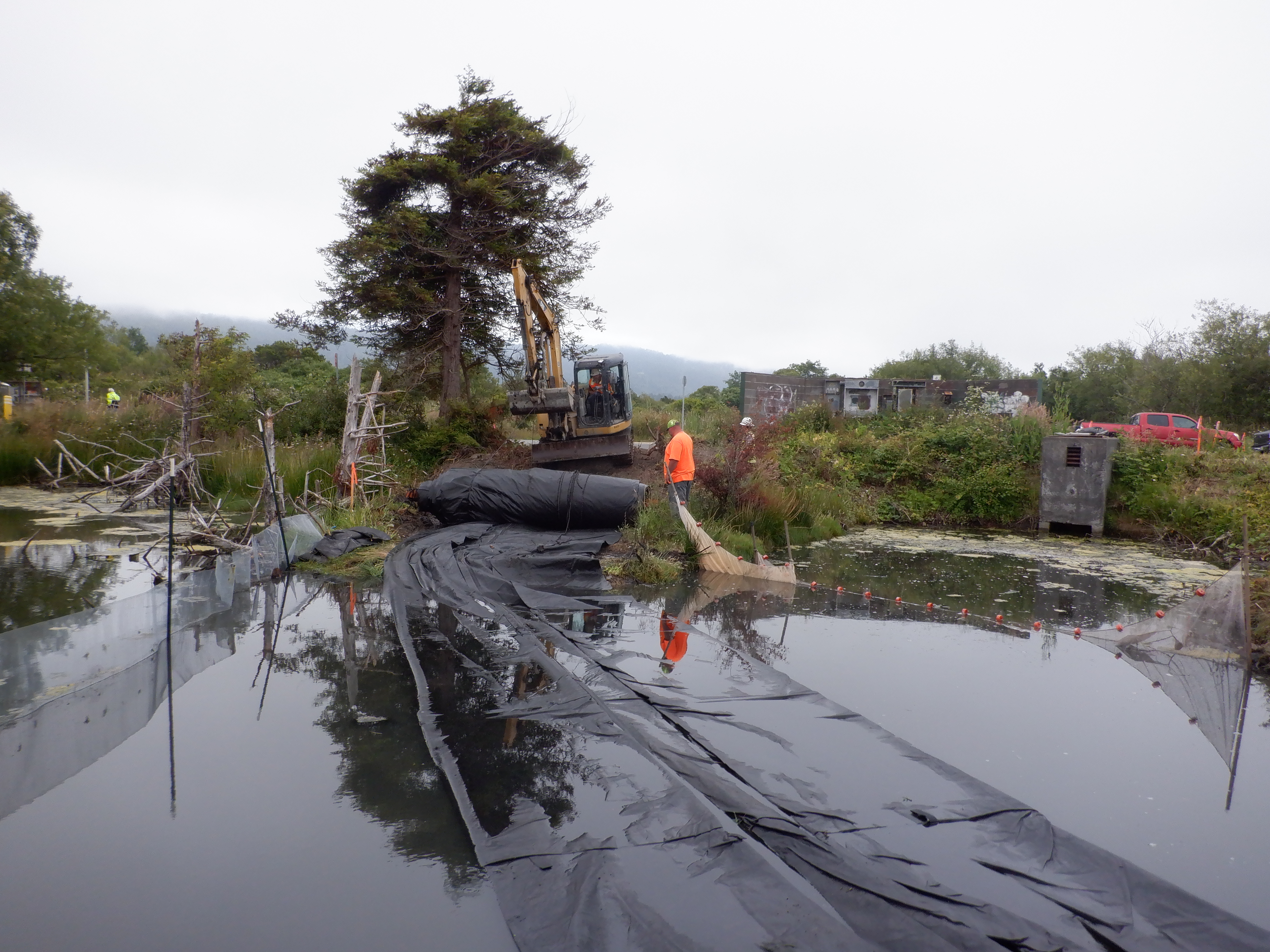 Arcata, CA 2023 – Brackish Pond