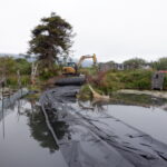 Arcata, CA 2023 – Brackish Pond