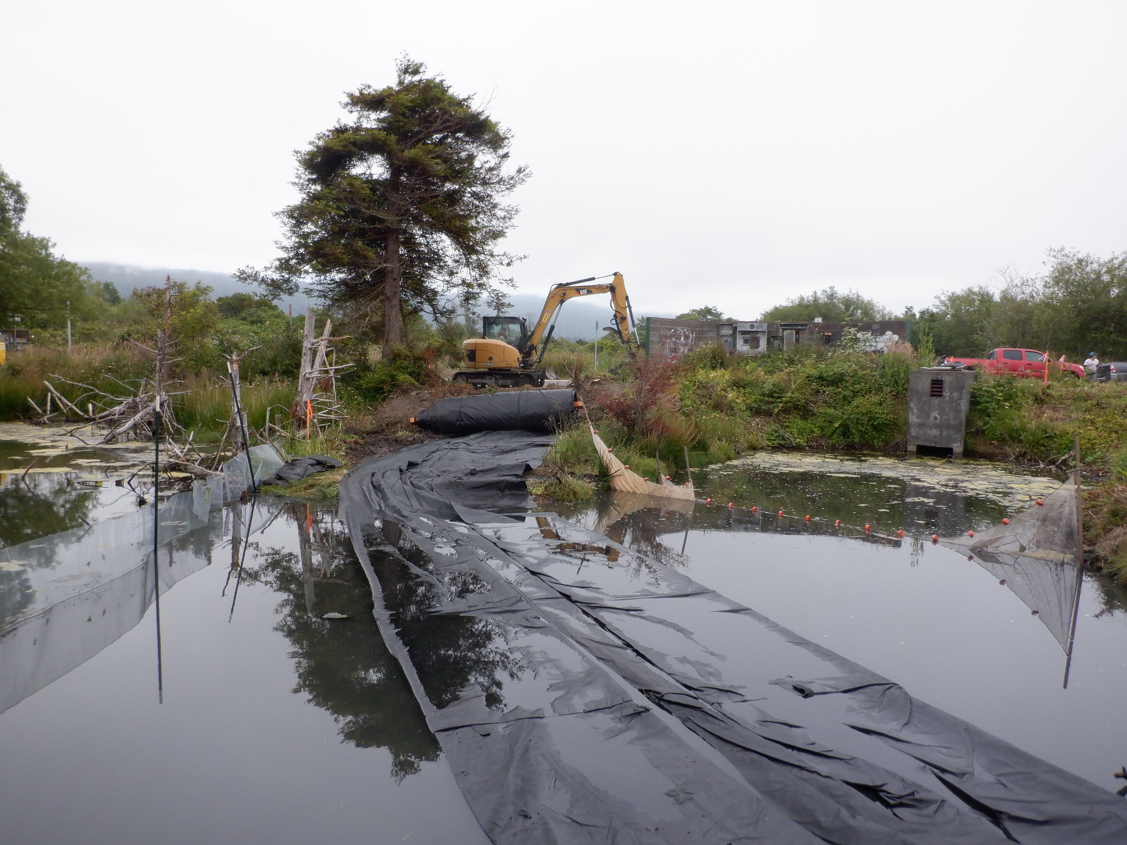 Arcata, CA 2023 – Brackish Pond