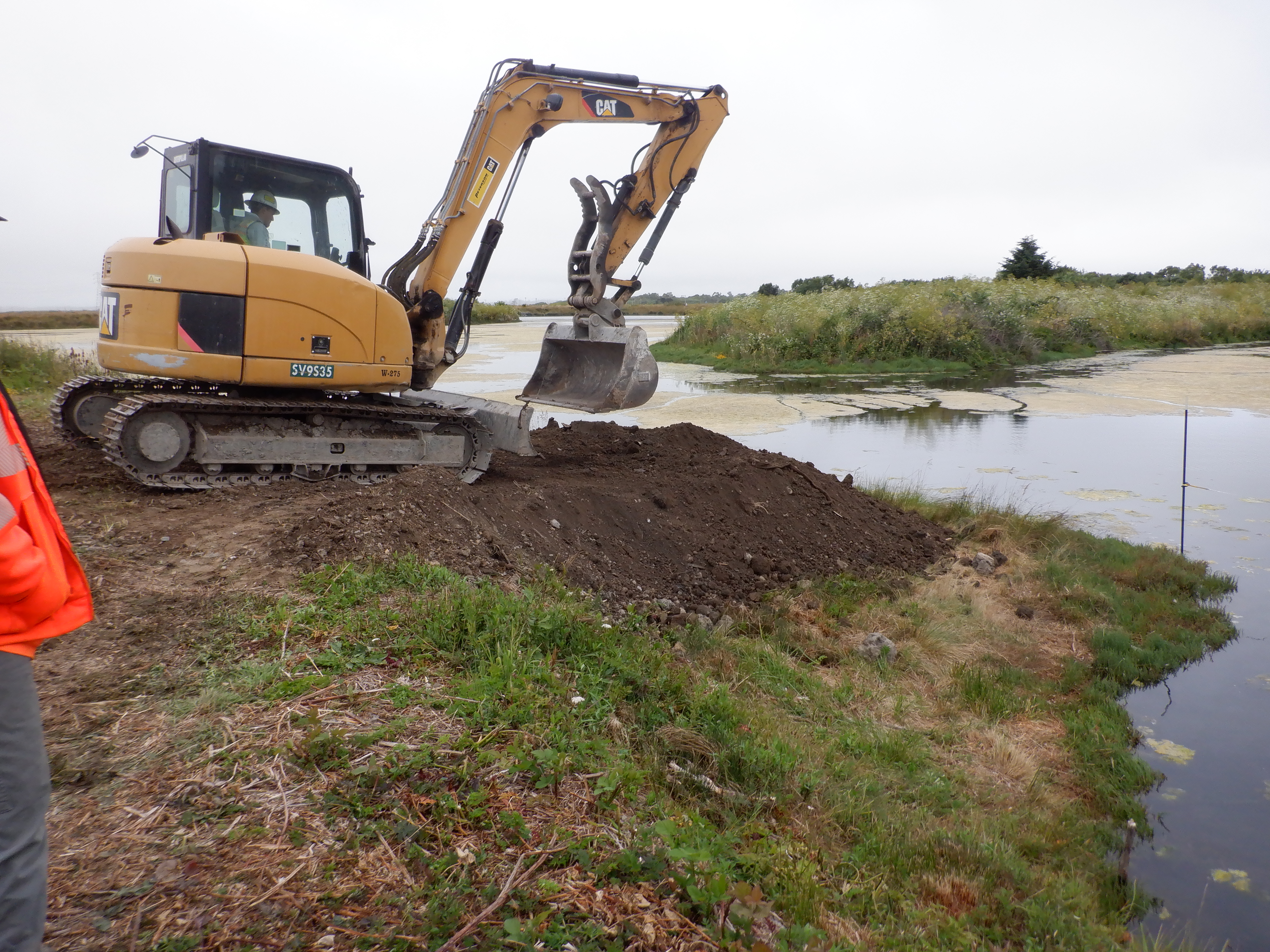 Arcata, CA 2023 – Brackish Pond