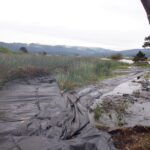 Arcata, CA 2023 Part II of III