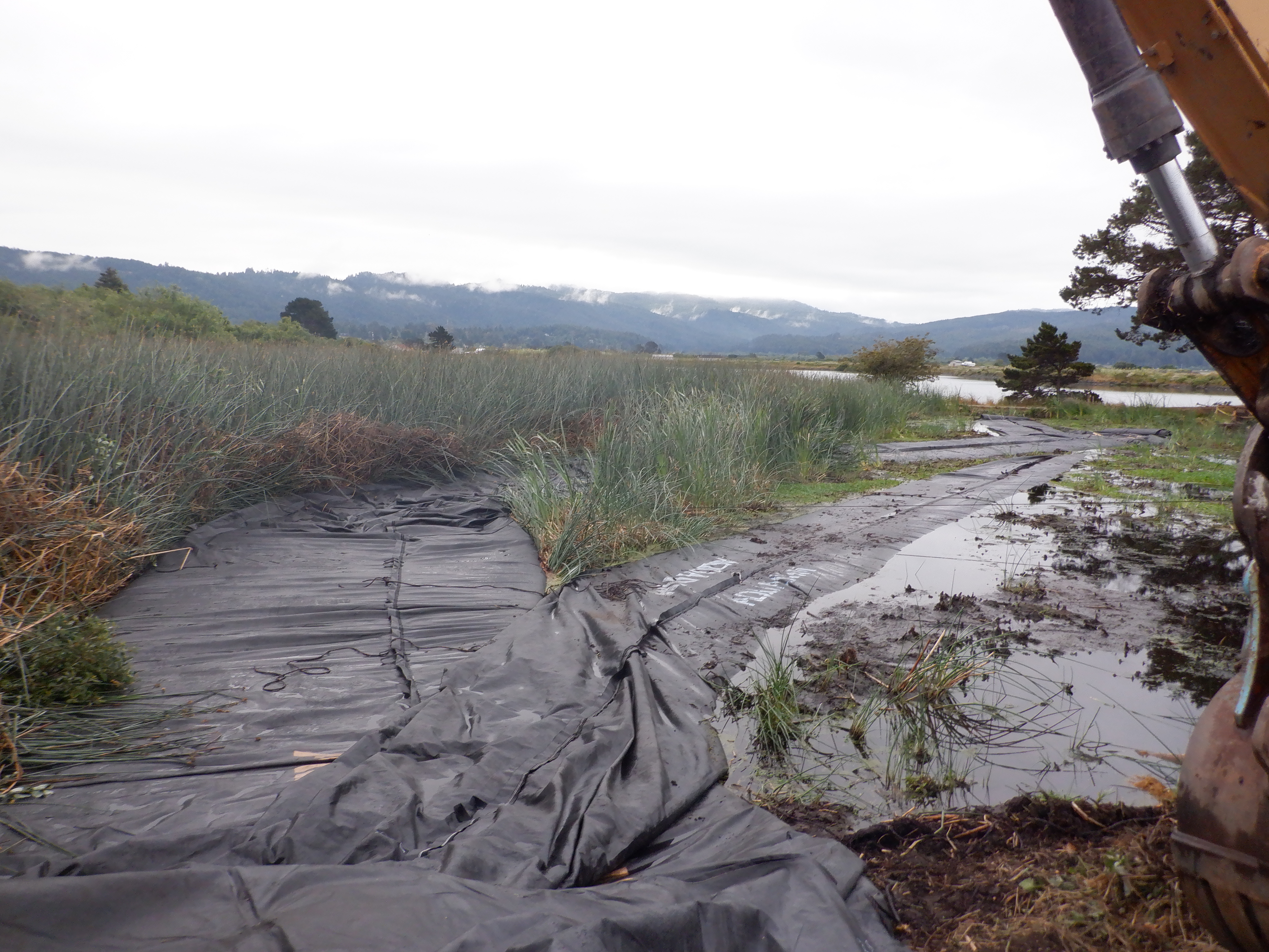 Arcata, CA 2023 Part II of III