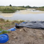 Arcata, CA 2023 – Brackish Pond