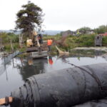 Arcata, CA 2023 – Brackish Pond