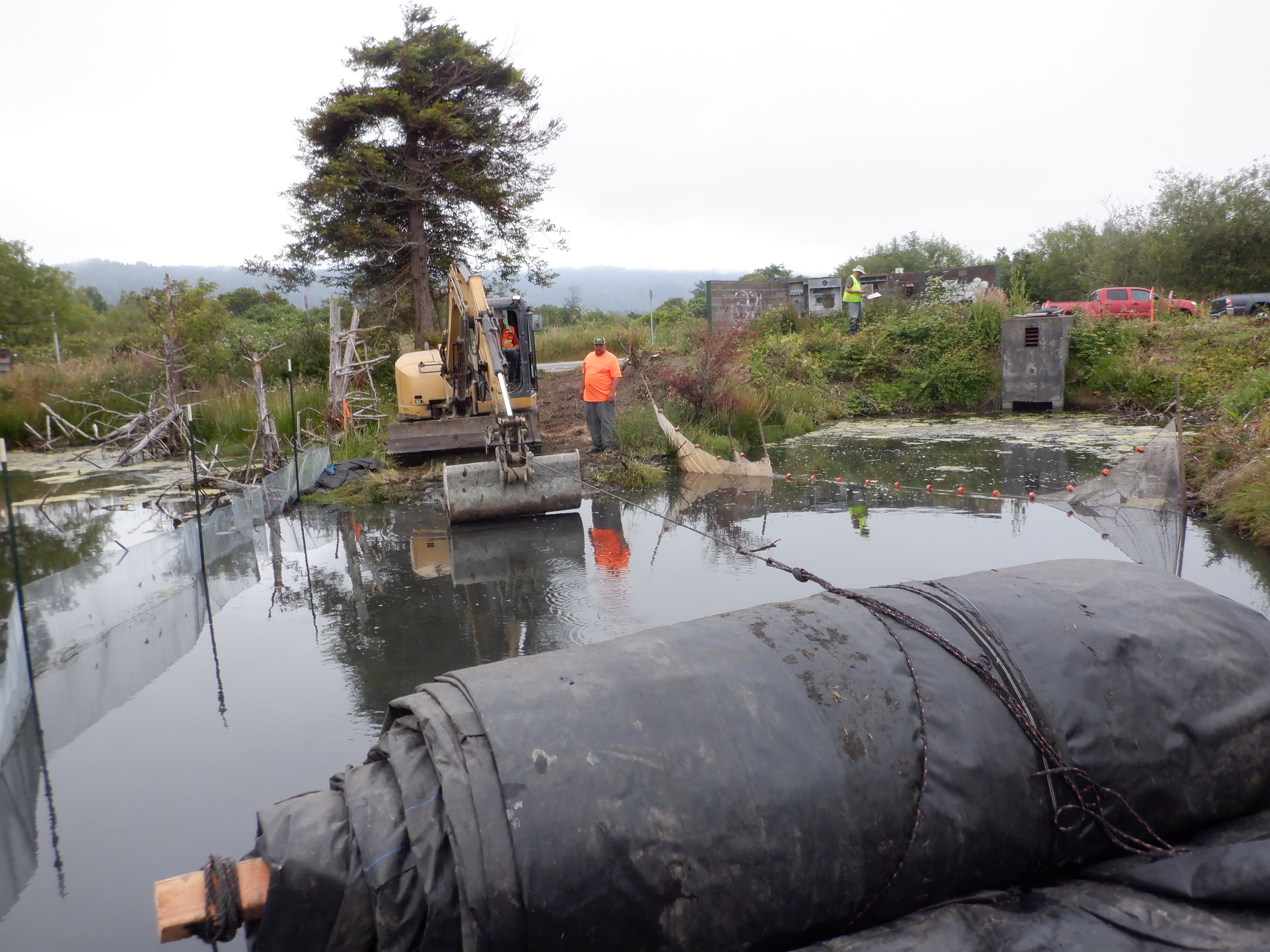 Arcata, CA 2023 – Brackish Pond
