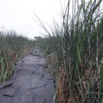 Arcata, CA 2023 Part III of III