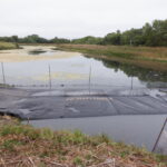 Arcata, CA 2023 – Brackish Pond