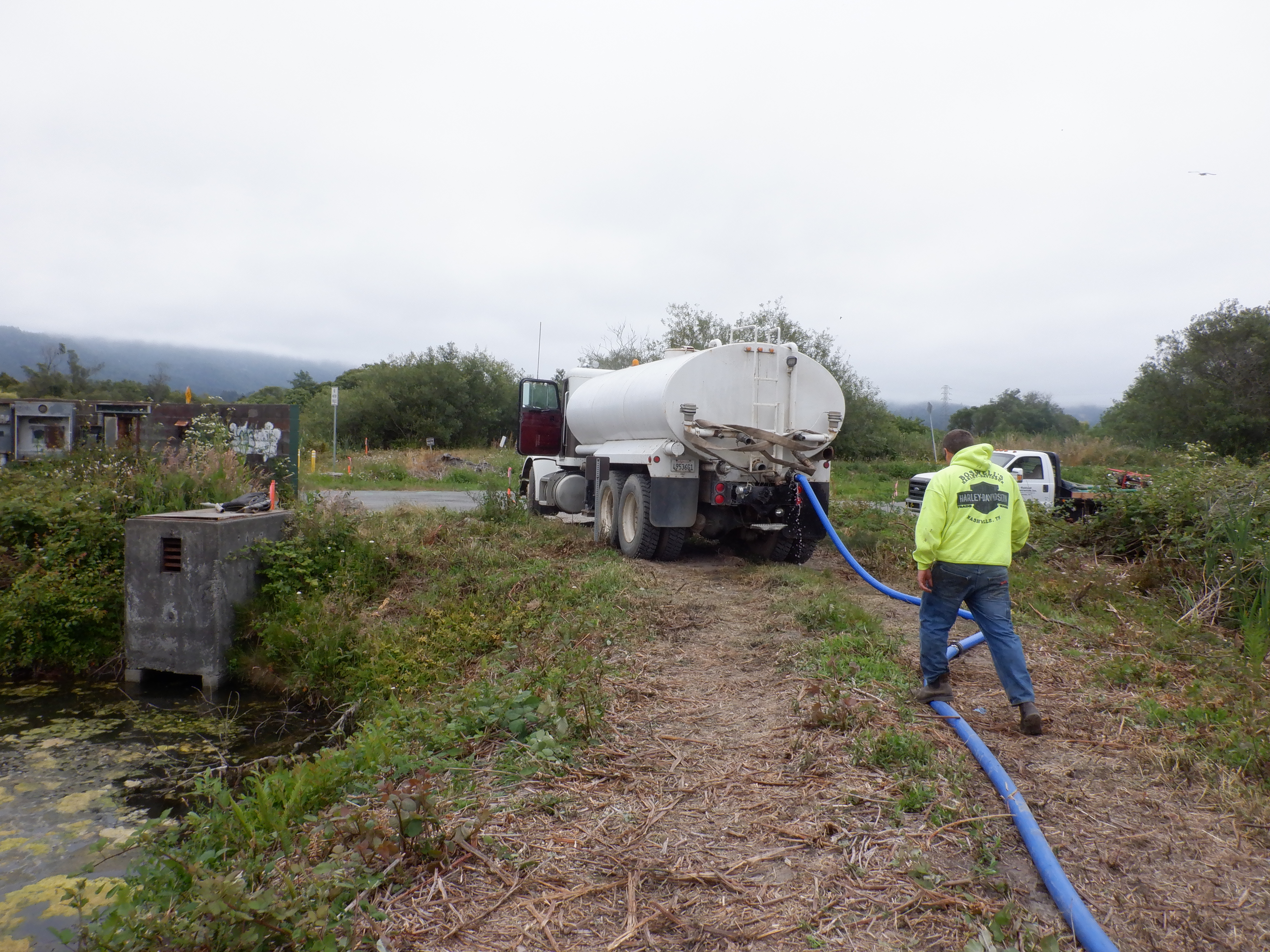 Arcata, CA 2023 – Brackish Pond