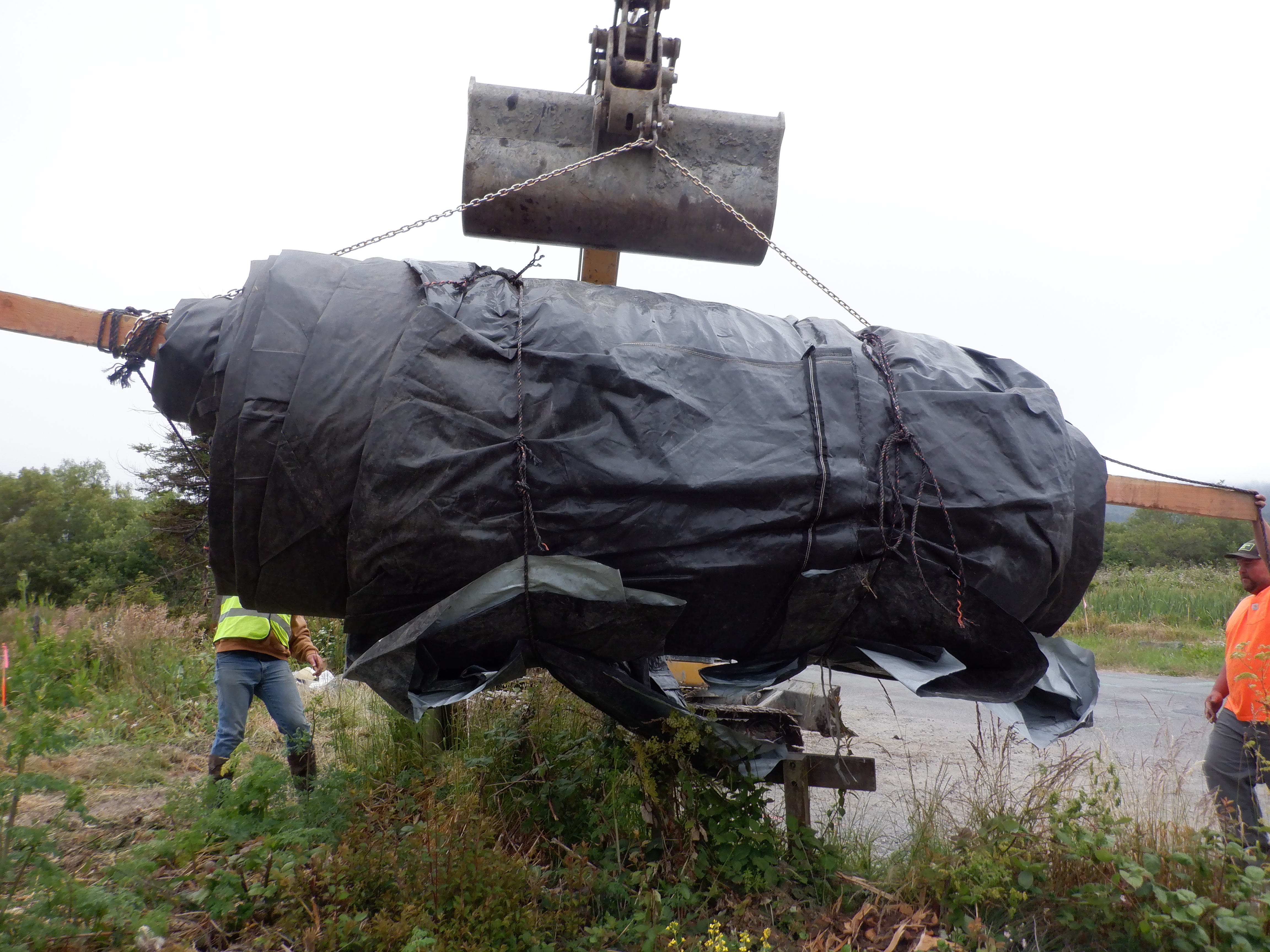Arcata, CA 2023 – Brackish Pond