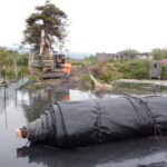 Arcata, CA 2023 – Brackish Pond