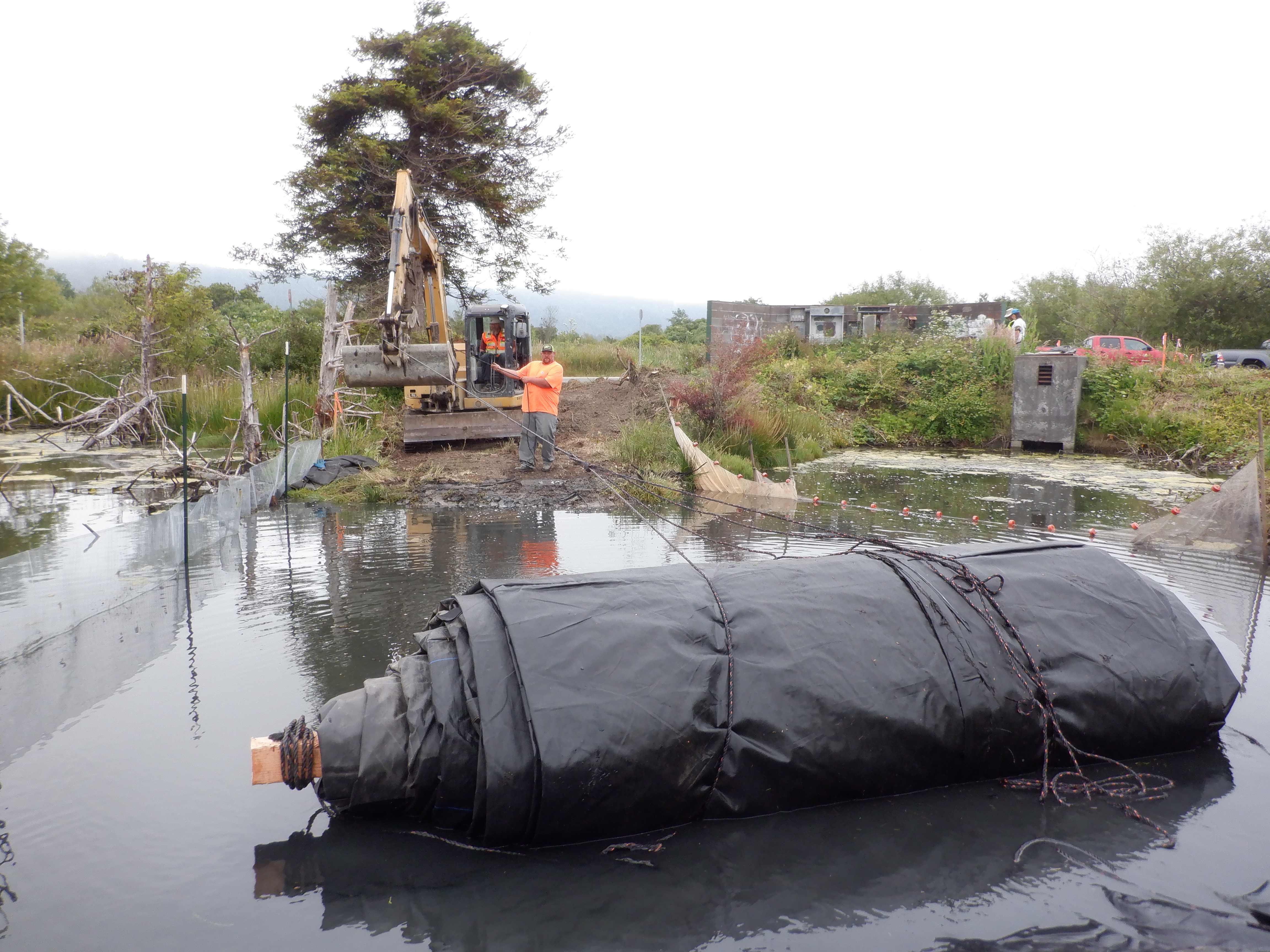 Arcata, CA 2023 – Brackish Pond