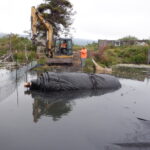 Arcata, CA 2023 – Brackish Pond