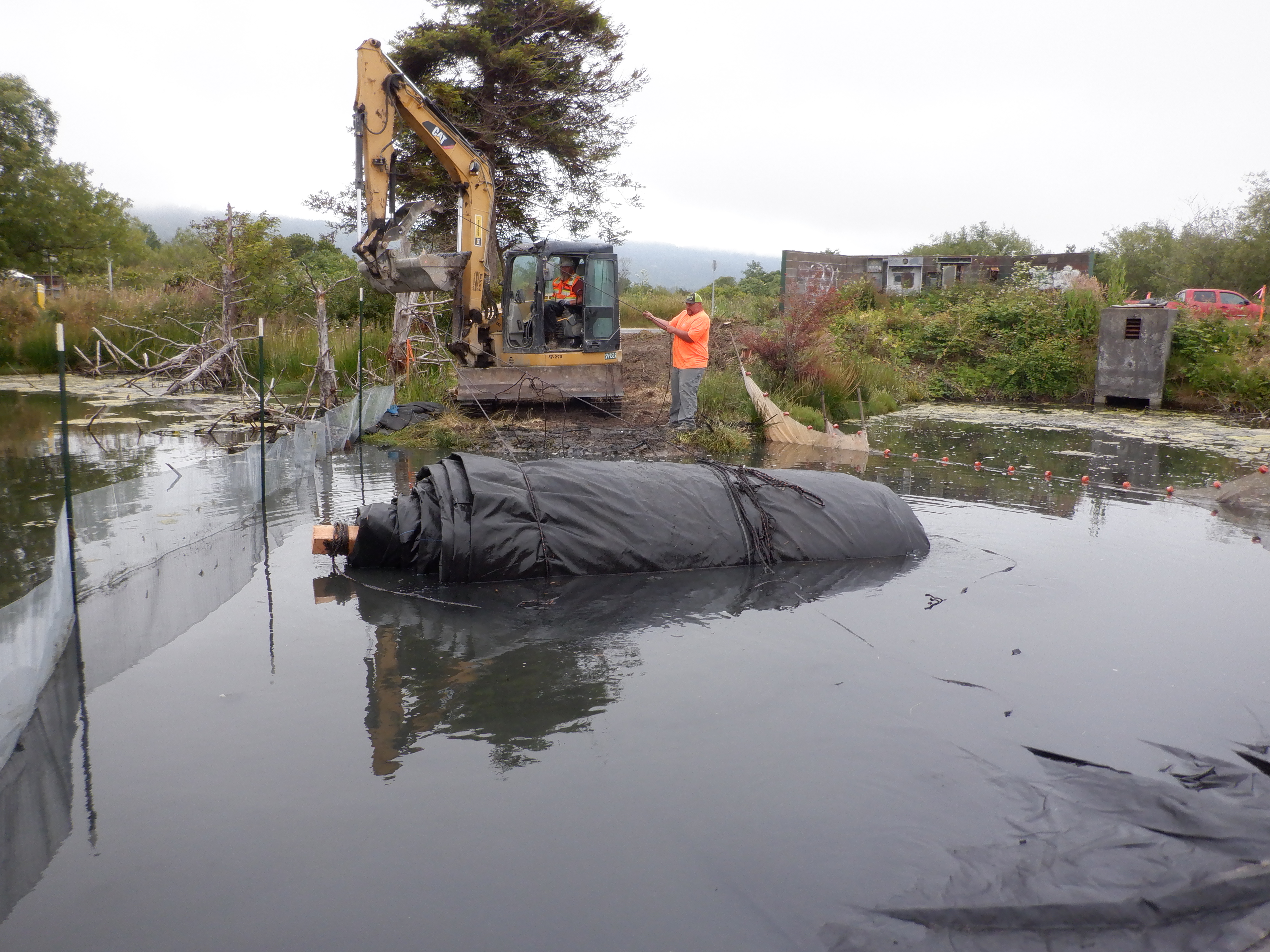 Arcata, CA 2023 – Brackish Pond