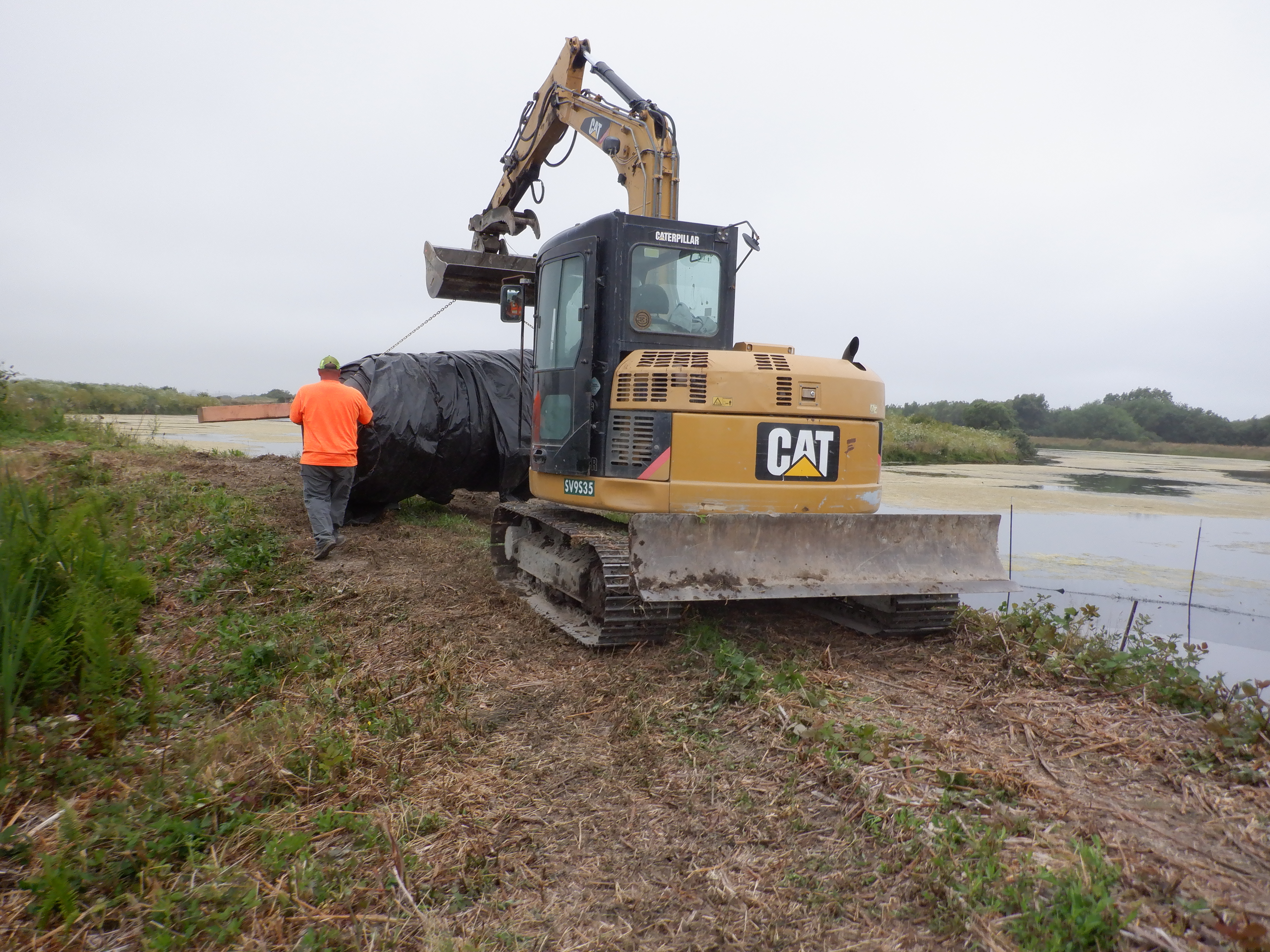 Arcata, CA 2023 – Brackish Pond