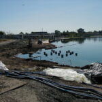 Foster City, CA 2002