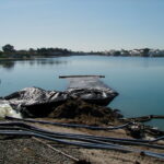 Foster City, CA 2002