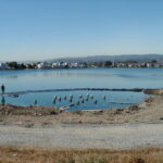 Foster City, CA 2002