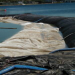 Foster City, CA 2002