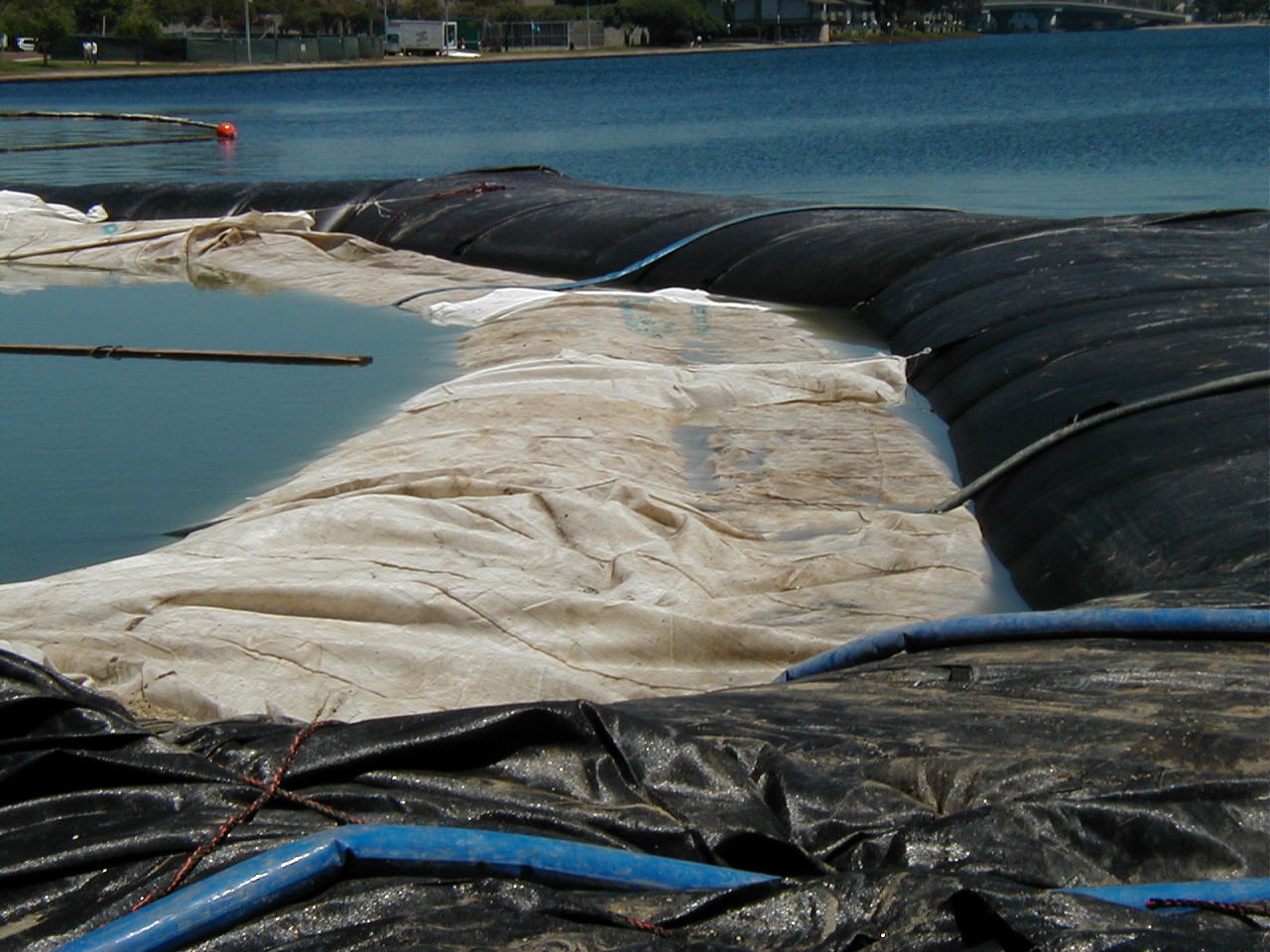 Foster City, CA 2002