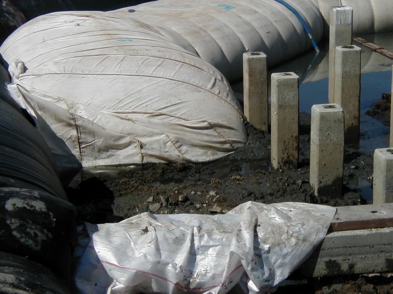 Foster City, CA 2002