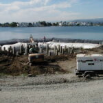 Foster City, CA 2002