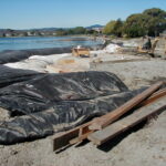 Foster City, CA 2002