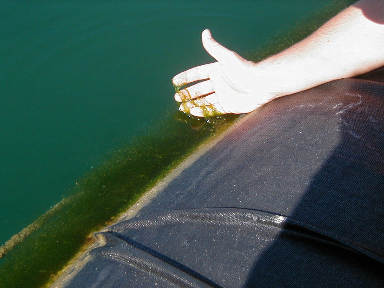 Foster City, CA 2002