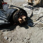 Foster City, CA 2002