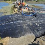 Redwood City, CA 2024