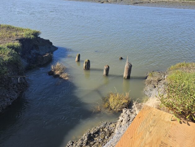 Redwood City, CA 2024