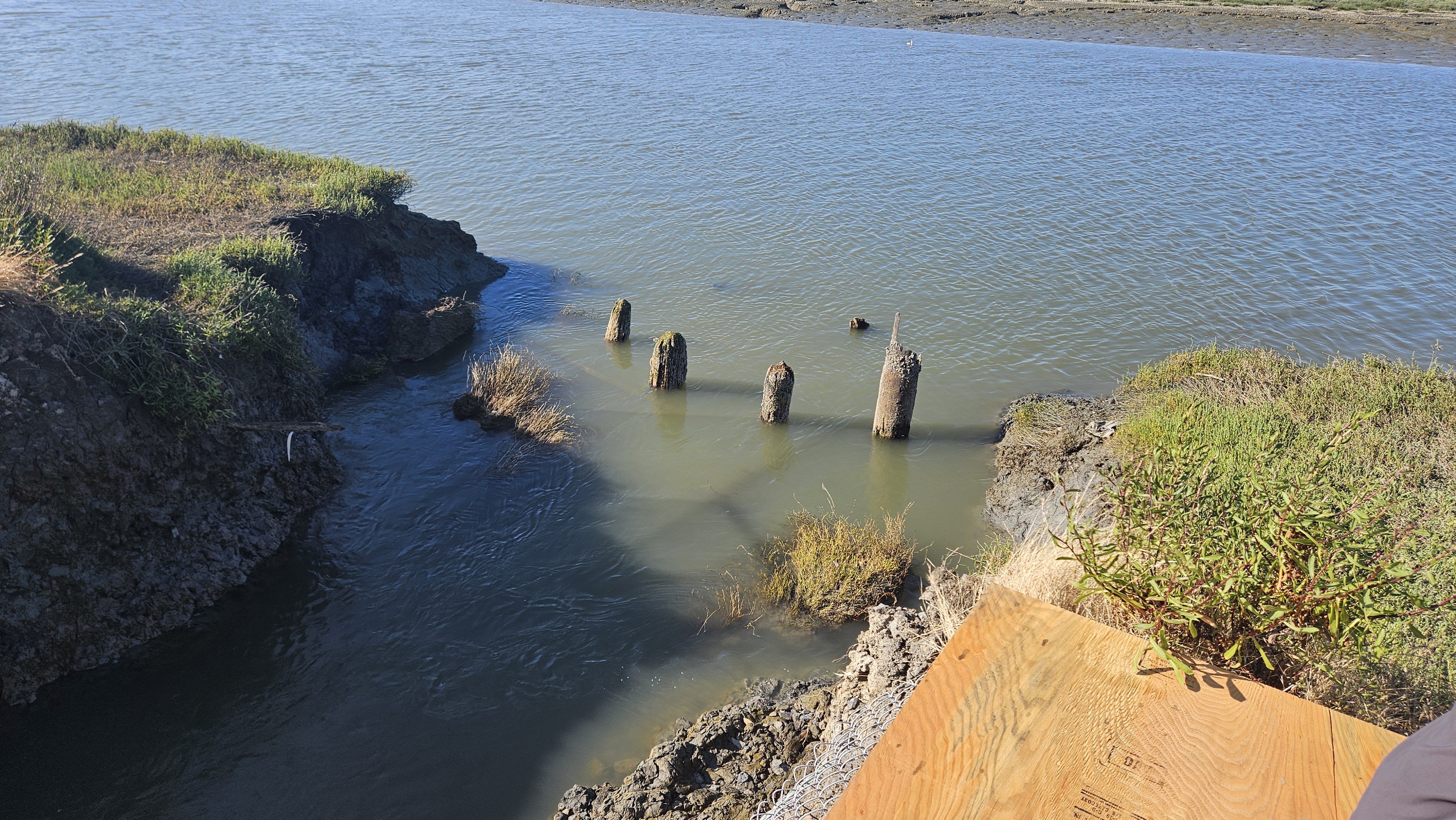 Redwood City, CA 2024