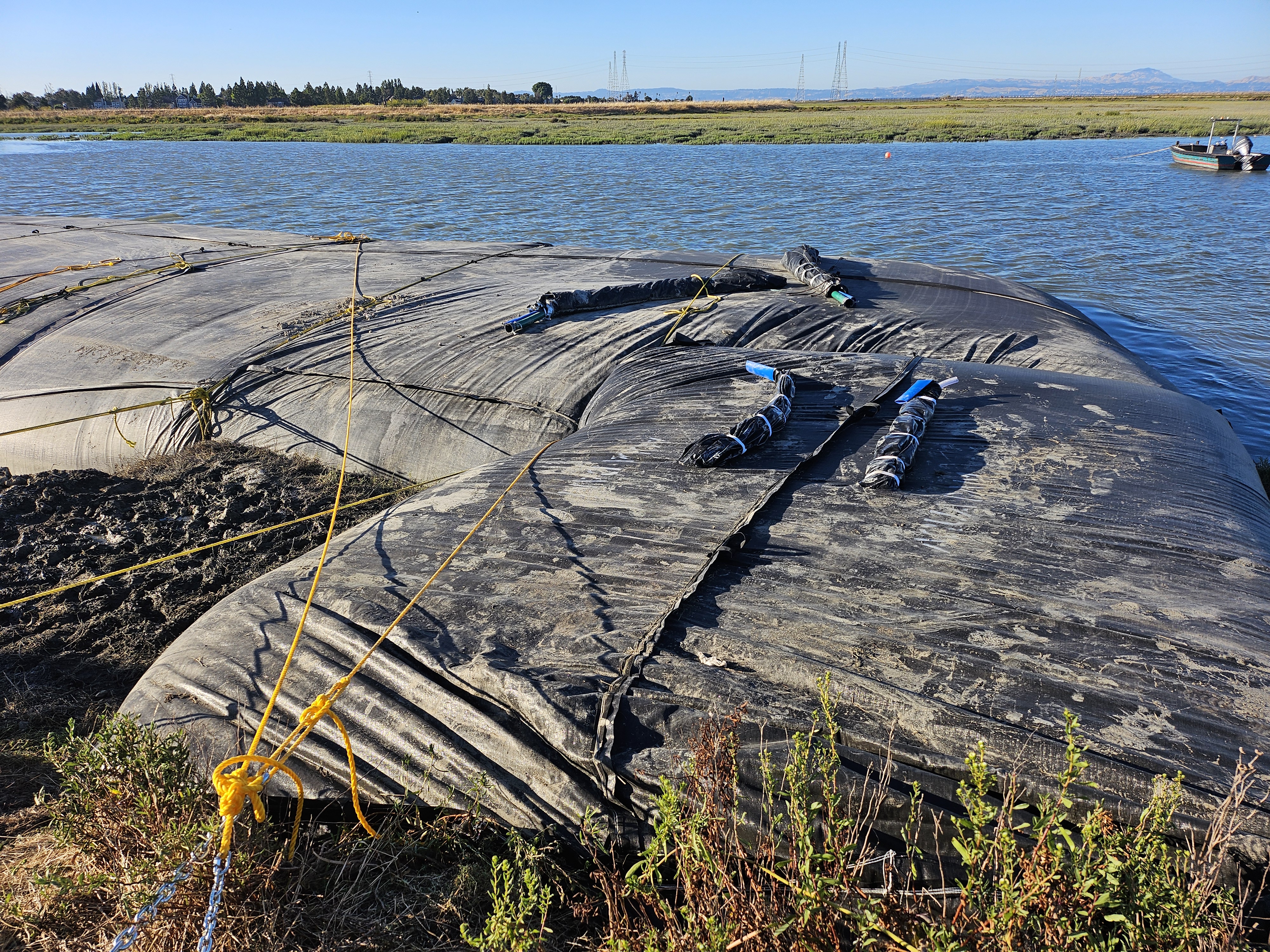 Redwood City, CA 2024